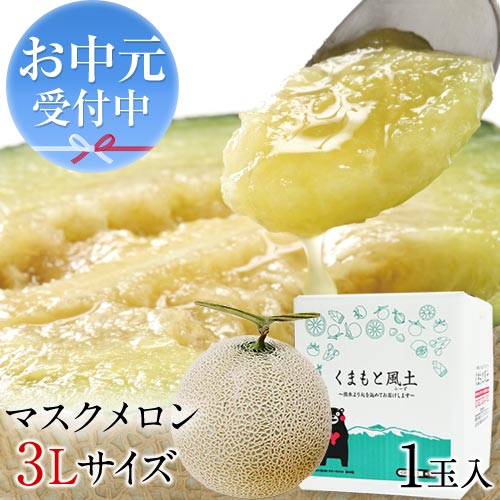 マスクメロン 楽天市場】九州産 マスクメロン 2Lサイズ 秀品 1玉 約1.2kg 送料