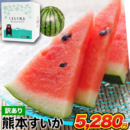 スイカ 熊本 訳あり すいか 熊本県産 1玉 4kg 以上 旬 の 果物 夏 キャンプ バーベキュー BBQ 食材 家庭用 自家用 フルーツ 果物 お取り寄せ 《配送予定に記載の日程でお届け》
