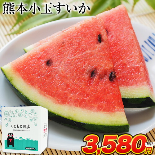 ピンクゴールド　　熊本県産　小玉スイカ　ひとりじめ　4L 2玉入り 楽天市場】熊本産 ”小玉すいか ひとりじめ” 4L 2玉 約6kg