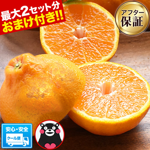 楽天市場】熊本県産 天草文旦 (パール柑) 4L-3L/5-6玉入 約3kg