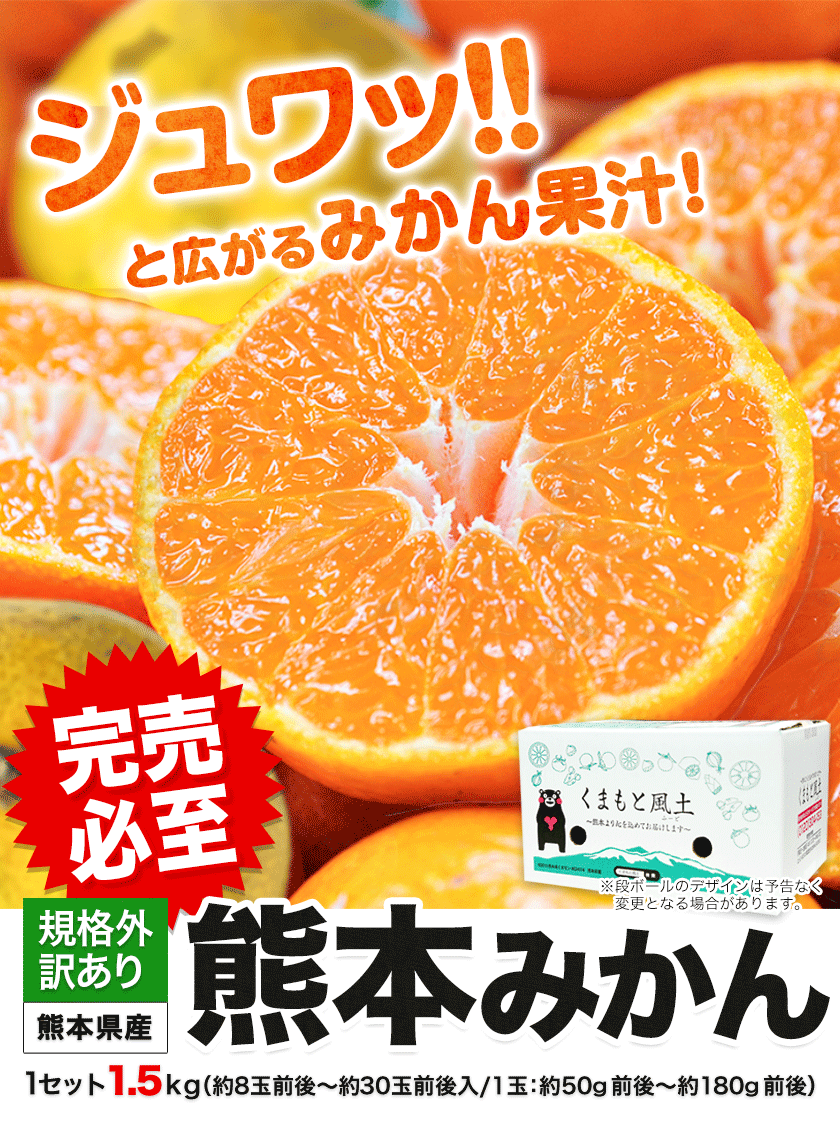 \3セット購入で実質半額！おまけ増量中／ 熊本 みかん 1.5kg 訳あり 送料無料 ミカン 大玉 小玉 不選別 規格外 果物 柑橘 九州