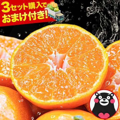 みかん 訳あり 送料無料 熊本 ミカン 大玉 小玉 不選別 規格外 みかん 訳あり 送料無料 熊本 ミカン 大玉 小玉 不選別 規格外