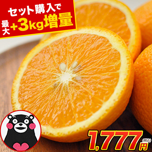 今月のくまもと風土総合ランキング5位　あきづき1.5kg前後(3～5玉)