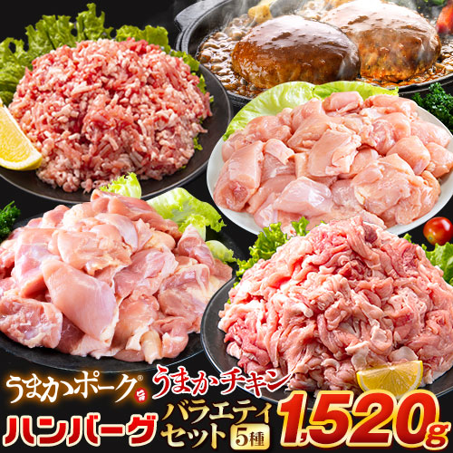総重量1,520g 肉 5種 バラエティセット 豚肉 鶏肉 ハンバーグ 5種 大容量 お肉 セット 福袋 豚 切り落とし ミンチ 国産 若鶏 モモ肉 むね肉 デミグラス 《配送予定に記載の日程でお届け》 |