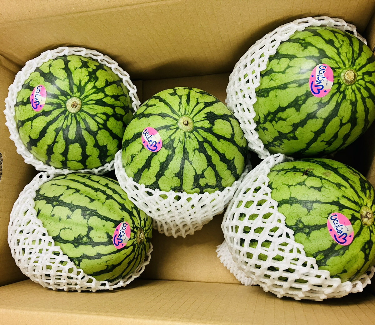 群馬県さん　スイカ　小玉すいか7玉(約6500g 〜7500g ) 群馬県さん スイカ 小玉すいか7玉(約6500g 〜7500g )