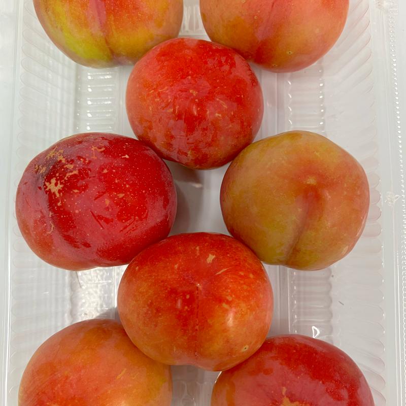すもも  10kg スモモのおすすめ人気商品一覧 通販 - Yahoo!ショッピング