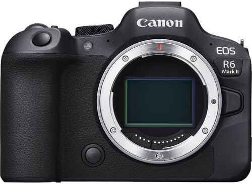 【中古】Canon キヤノン EOS R6 MarkII ボディ