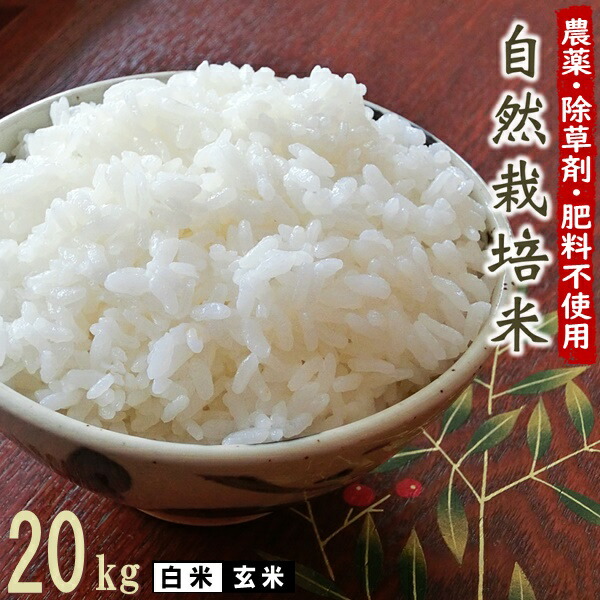 【楽天市場】無肥料 自然栽培米 令和5年産 ヒノヒカリ 5kg 【農薬