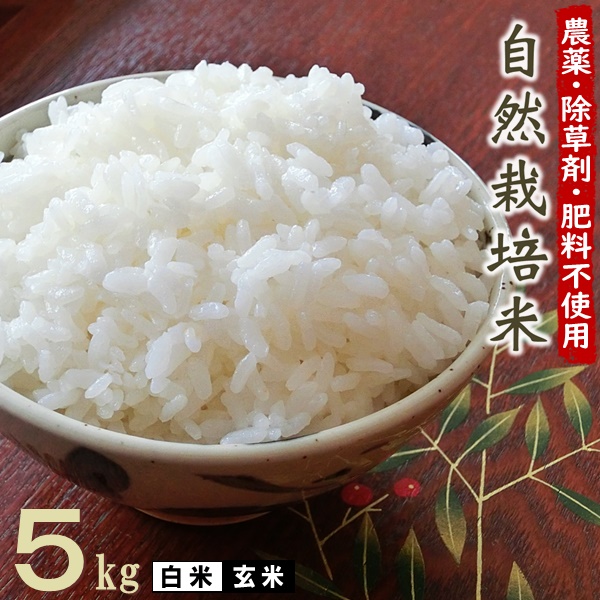 【楽天市場】無肥料 自然栽培米 令和5年産 ヒノヒカリ 20kg 【農薬 