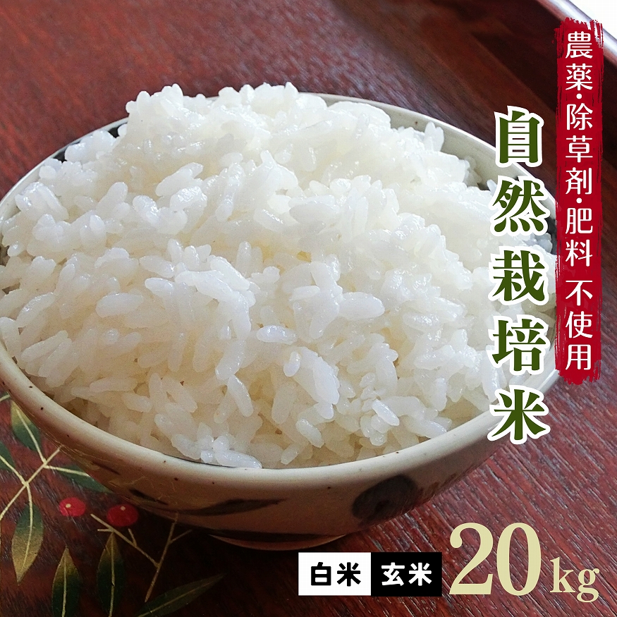 楽天市場】新米予約 無肥料 自然栽培米 令和6年産 ヒノヒカリ 5kg 【農薬・除草剤・化学肥料 不使用】【有機肥料さえも不使用の自然栽培】【熊本県産  自社農園産 白米 玄米 放射能検査済み】 : 熊本四季農園楽天市場店