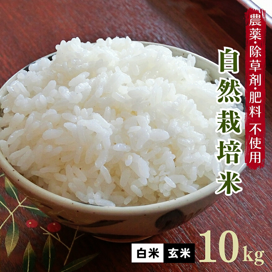 【楽天市場】新米予約 無肥料 自然栽培米 令和6年産 ヒノヒカリ 5kg 【農薬・除草剤・化学肥料 不使用】【有機肥料さえも不使用の自然栽培】【熊本県産  自社農園産 白米 玄米 放射能検査済み】 : 熊本四季農園楽天市場店