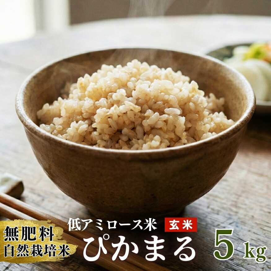 にこまる 10kg ×2 農薬不使用 国産玄米 農家直送 単一品種 専用