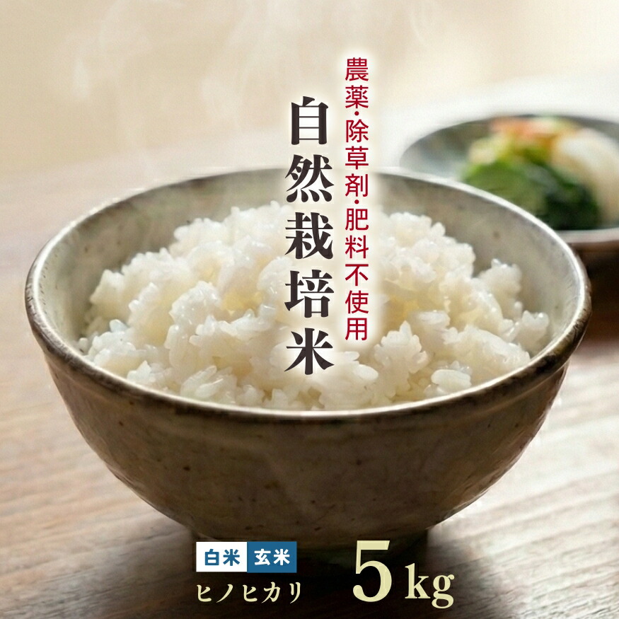 楽天市場】低アミロース米 ぴかまる 5kg 令和7年産 無肥料 自然栽培米