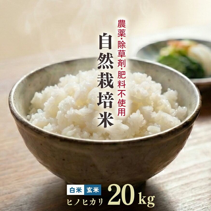楽天市場】低アミロース米 ぴかまる 5kg 令和7年産 無肥料 自然栽培米