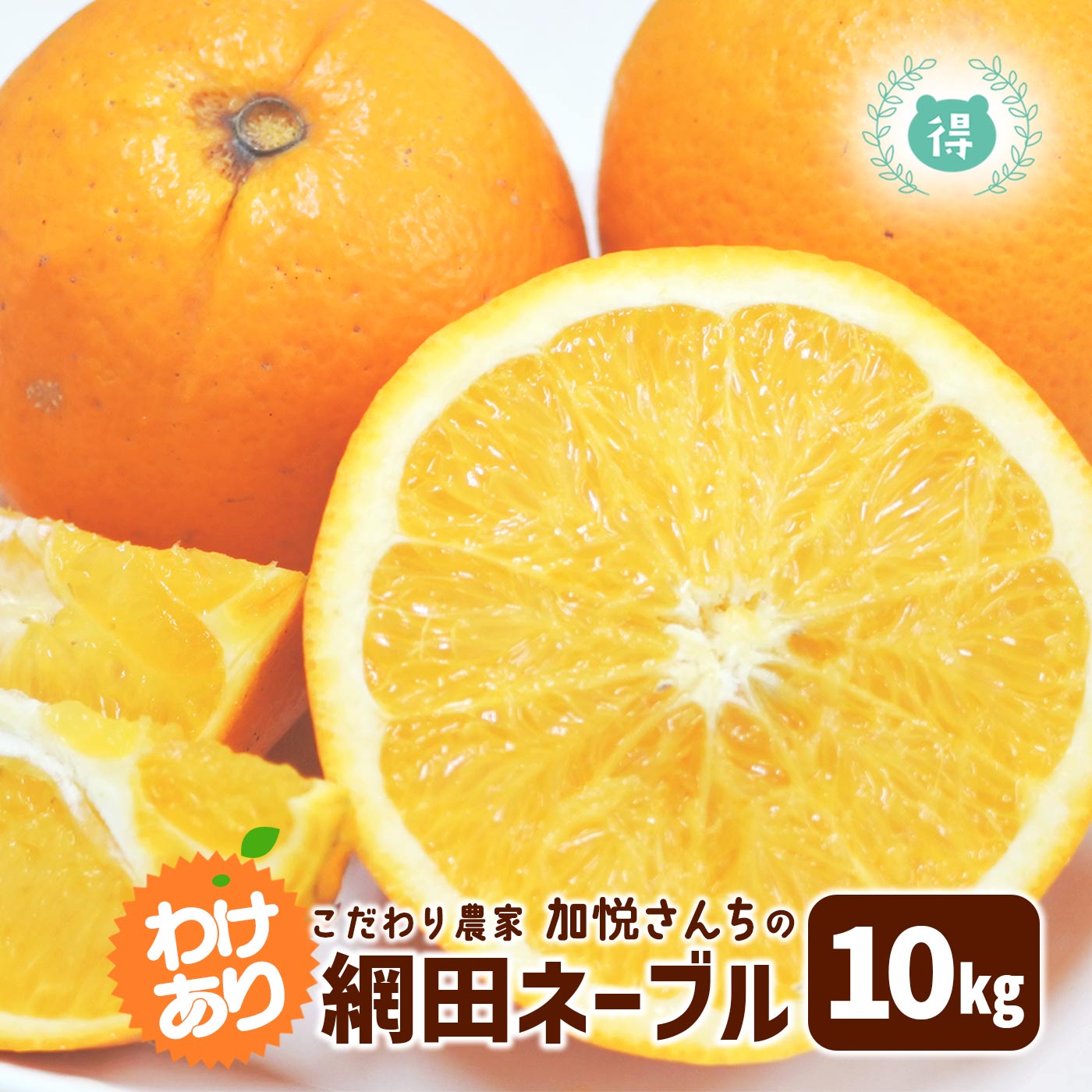 楽天市場】予約受付中3月の発送予定 熊本県産 加悦さんちのちょっと訳