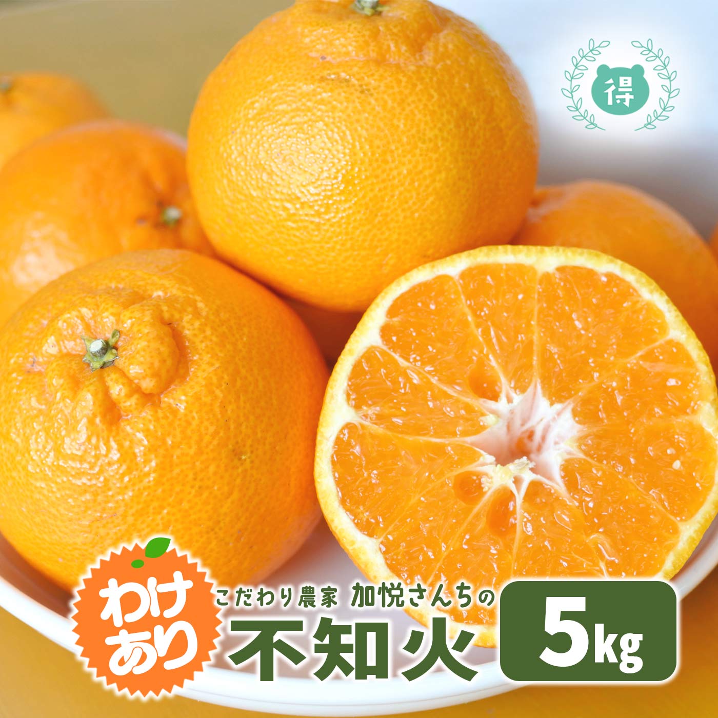 楽天市場】3月16日～17日発送予定 熊本県産 加悦さんちのちょっと