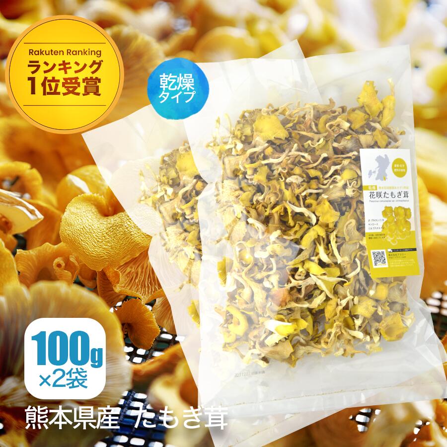【公式】乾燥 たもぎ茸 (100g ×2袋) [楽天ランキング1位受賞] エルゴチオネイン β-グルカン グリシン ナイアシン アミノ酸 ビタミン B3 食物繊維 鉄分 花咲 たもぎたけ たもぎだけ 茸 乾物 干し きのこ 出汁 スープ 炊き込みご飯 旨み 凝縮 国産 熊本県産 農薬完全不使用
