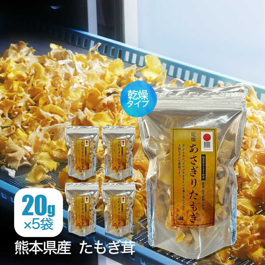 ハイガー産業　懸垂マシーン(ライム) ハイガー産業 懸垂マシーン(ライム) 【公式通販】