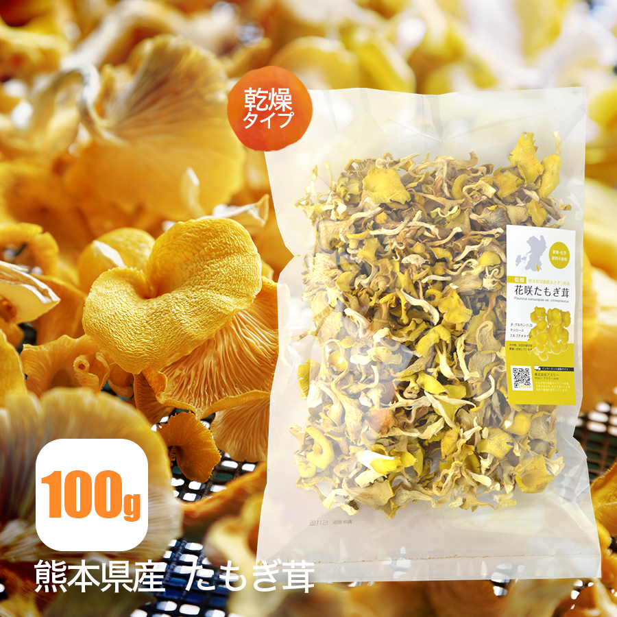 楽天市場 公式 花咲たもぎ茸 10パック 生タイプ セット たもぎ茸 たもぎたけ たもぎだけ タモギタケ タモギダケ きのこ キノコ 茸 国産 熊本県産 鍋 料理 薬膳 出汁 だし スープ 天ぷら 幻のきのこ 菌活 エルゴチオネイン グリシン ナイアシン B グルカン 抗酸化作用