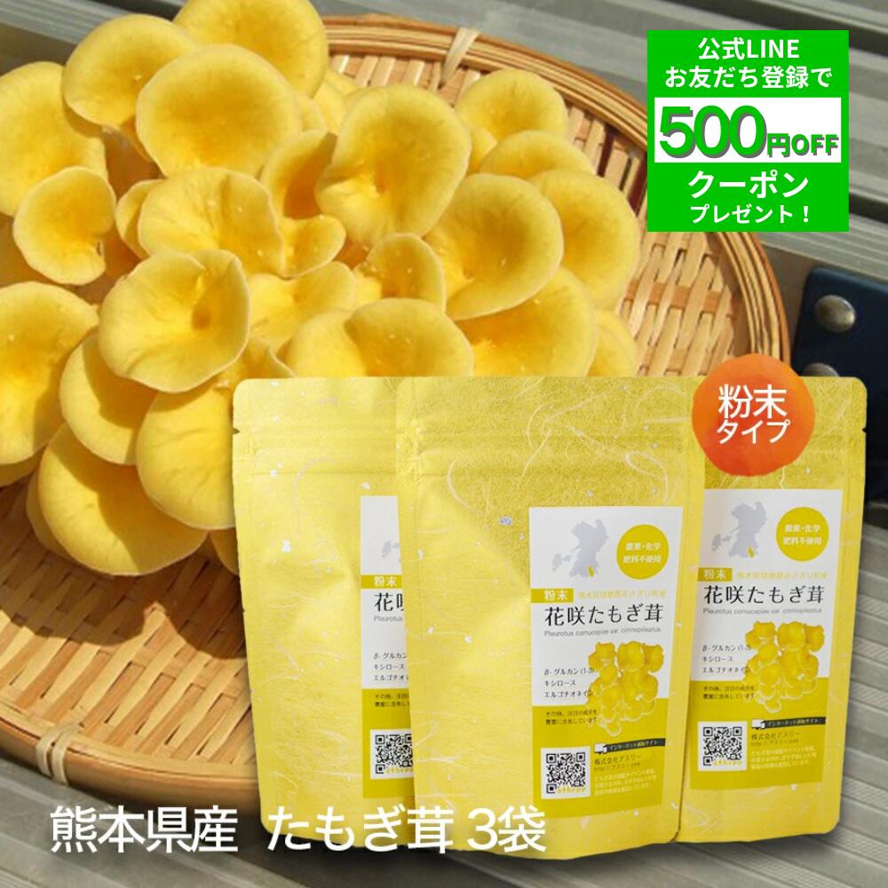 【LINEお仲良し書きとどめるで500円OFF！】堅苦しさ たもぎ茸 3袋 細末 黒色火薬 印字機 エルゴチオネイン β-グルカン グリシン ニコチン酸 アミノ酸 ヴィタミン B3 食料雑貨類衣料繊維 鉄分 花咲 たもぎたけ たもぎだけ かわき切る 乾物 干し きのこ 出汁 吸いもの お味噌汁 国産 熊本県産 菌活