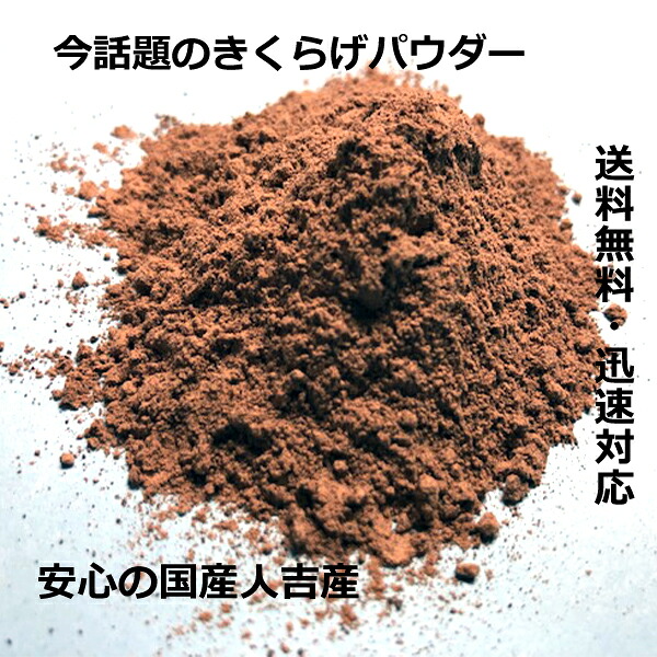 国産 【 きくらげ パウダー 50ｇ×10個 】送料無料 500g　送料無料 TV放映 粉末50ｇ キクラゲパウダー ビタミンＤ 人吉 のキクラゲを100％使用 きくらげ 国産きくらげ キクラゲ 木耳 キノコ