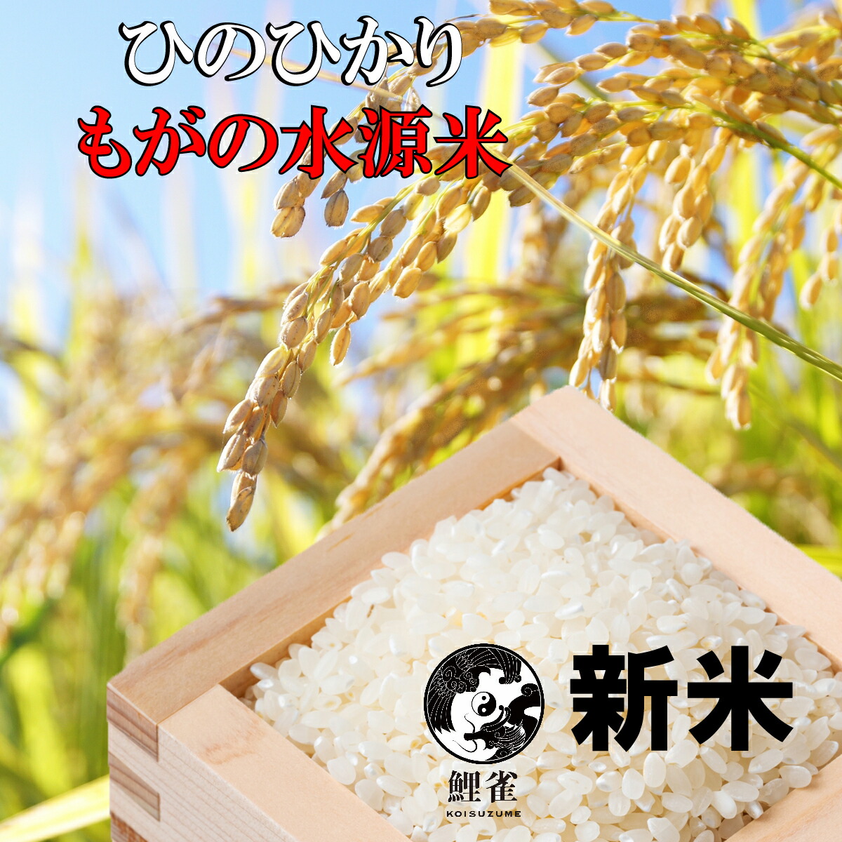 3月13日発送✨️ひのひかり✨️玄米10㌔ (箱全込) 楽天市場】新米予約・令和7年 玄米 熊本産 【 ひのひかり 玄米