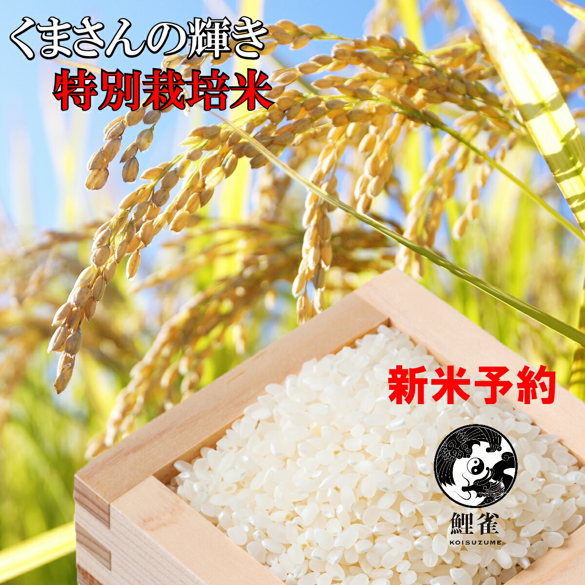 楽天市場】新米・令和7年 玄米【 熊本産 ひのひかり 玄米 30kg 】10