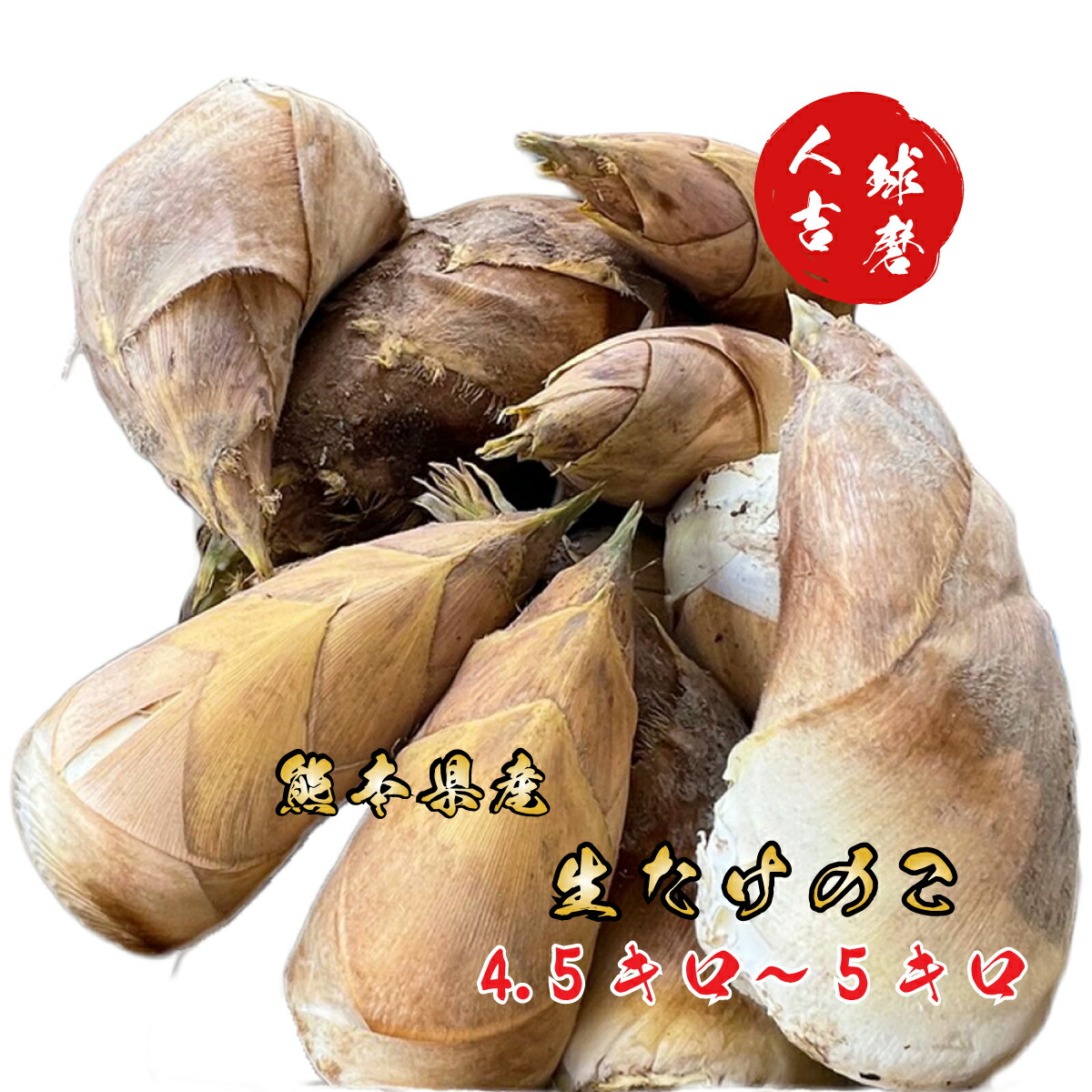 楽天市場】国産 干し たけのこ 40g 熊本県産 人吉球磨 干し