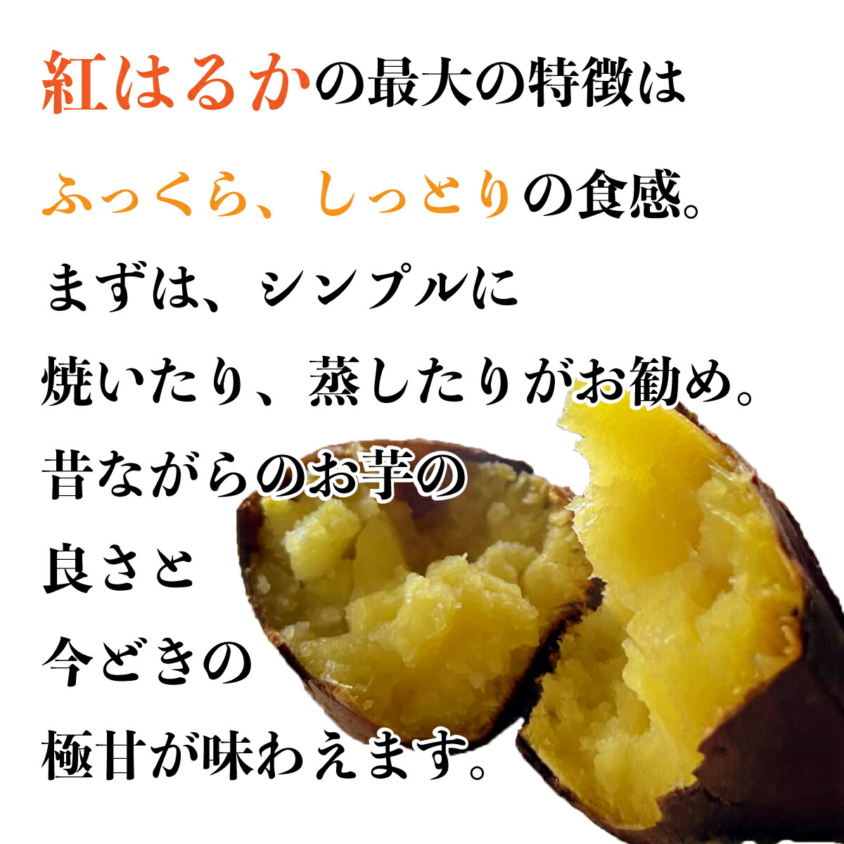 ⭐️はんなり様引取り専用⭐️もちつきセット　3升 ラチェット式荷締機ショートタイプ 25mm×2.3m 2本組 オレンジ ERT