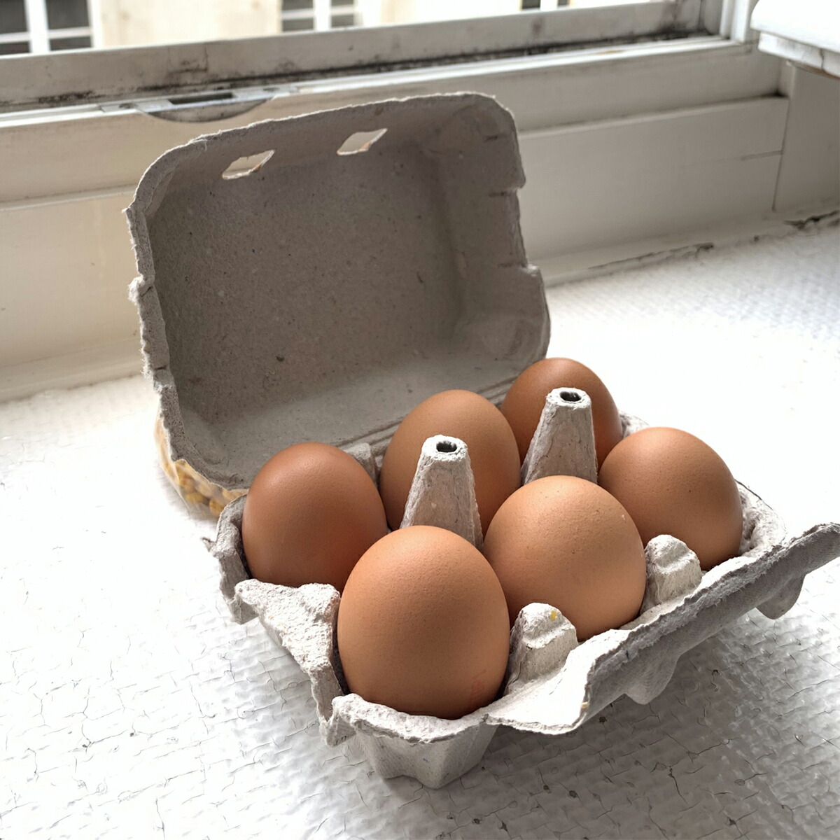 平飼い卵80個6/2常温発送 tamago003t-50-01.jpg