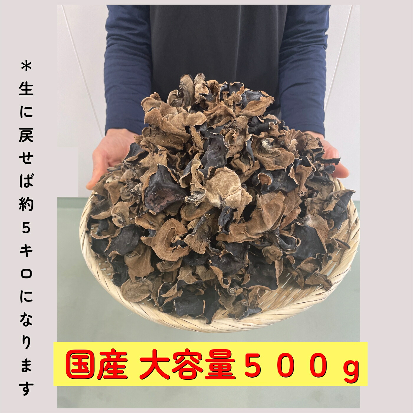 きくらげ 国産 乾燥 大容量５００ｇ 送料無料 食物繊維豊富 ビタミンD きくらげ 健康効果 キクラゲ きのこ 訳あり 乾燥きのこ オーガニック 無農薬 スーパーフード ダイエット 食材 きくらげ 価格比較 高品質  口コミ おすすめ ランキング 中華料理 人気レシピ 業務用