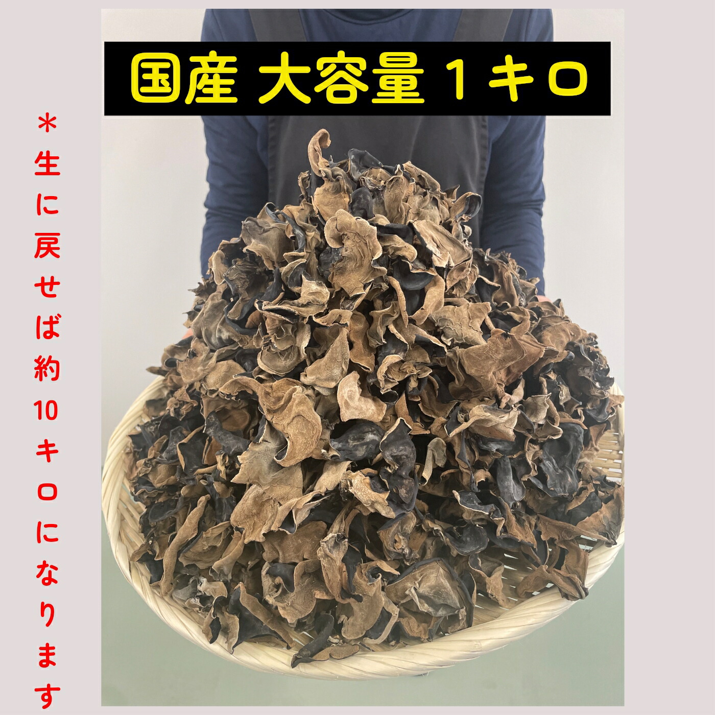 きくらげ 国産 乾燥 大容量１キロ 送料無料 食物繊維豊富 ビタミンD きくらげ 健康効果 キクラゲ きのこ 訳あり 乾燥きのこ オーガニック 無農薬 スーパーフード ダイエット 食材 きくらげ 価格比較 高品質 口コミ おすすめ ランキング 中華料理 人気レシピ 業務用 お得