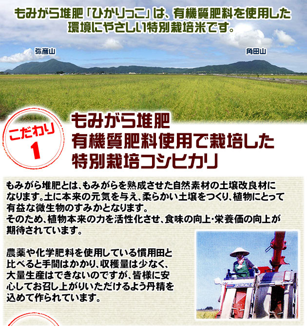 新米 新潟県産 新之助 包材込み30ｋｇ 精米無料 Yahoo!フリマ（旧）+