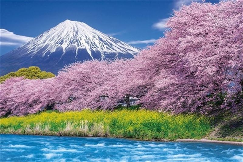 1000ピースジグソーパズル 潤井川龍巌淵から富士‐静岡 《廃番商品》 エポック社 10-804 (50×75cm)