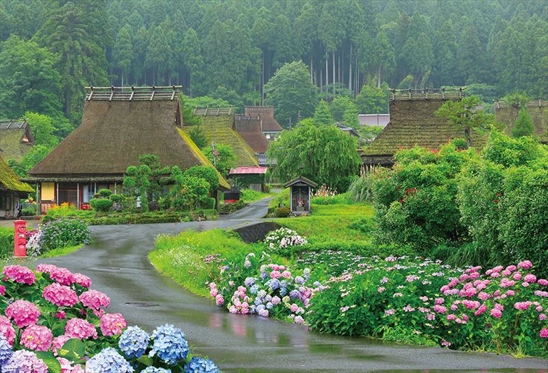 1000ピースジグソーパズル 紫陽花咲く美山町 ビバリー 51-296 (49×72cm)|組絵門(くみえもん)