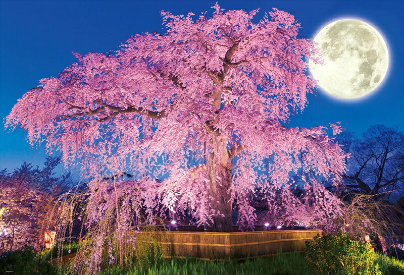 1000ピースジグソーパズル 円山公園の夜桜 《廃番商品》 ビバリー 51-227 (49&times;72cm)｜組絵門（くみえもん）