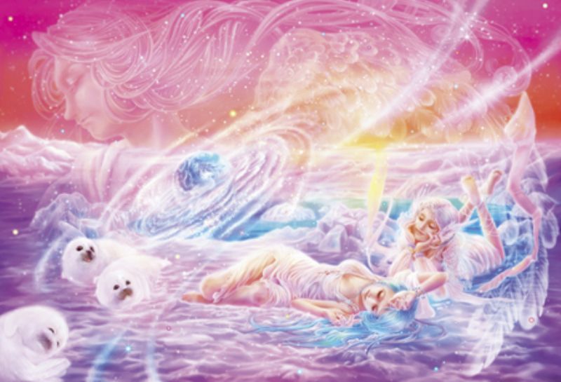 楽天市場 引上品 300ピースジグソーパズル ハープシールズ ドリーム 深泉万葉 廃番商品 組絵門 くみえもん