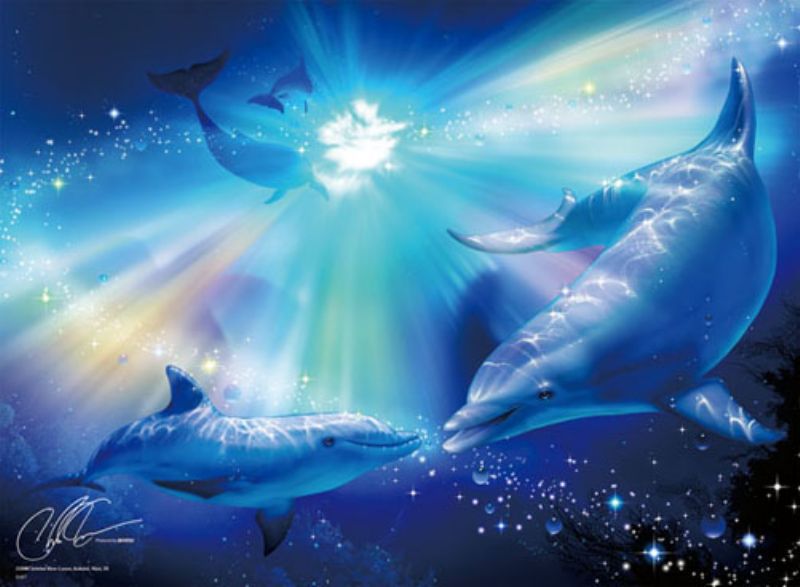 楽天市場 500ピースジグソーパズル ファイアーワークス イン パラダイス Crラッセン 廃番商品 組絵門 くみえもん