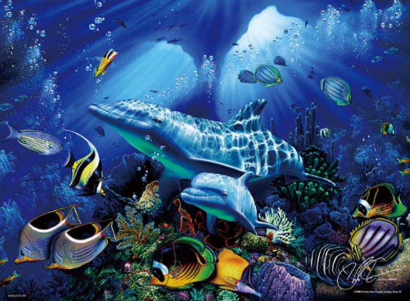 楽天市場 1000スモールピースジグソーパズル ミラクル オブ ライフ Crラッセン 廃番商品 ビバリー S81 603 36 49cm 組絵門 くみえもん