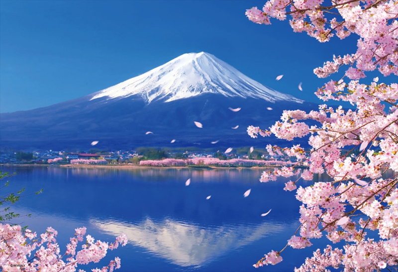 1000ピースジグソーパズル 富士山 桜満開のころ(EVENTUAL PAYSAGE)(島倉仁) 《廃番商品》 やのまん 10-1304  (50×75cm) 組絵門（くみえもん）