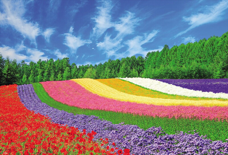 1000ピースジグソーパズル 富良野の花咲く丘 《廃番商品》 ビバリー 51-244 (49&times;72cm)｜組絵門（くみえもん）
