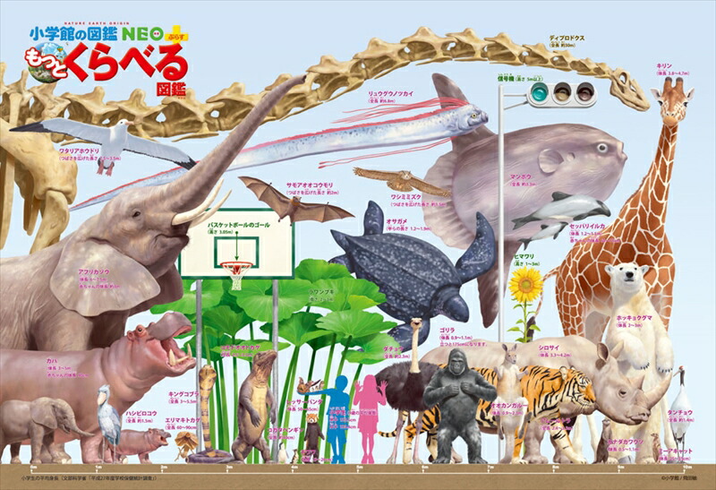 150ラージピースジグソーパズル もっとくらべる図鑑 いろいろ大きさくらべ 《廃番商品》 ビバリー L74-151 (26×38cm)