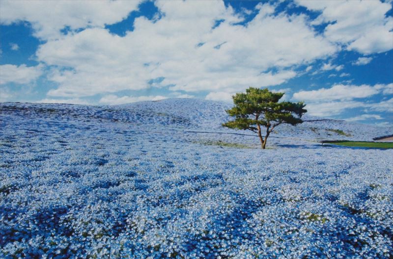 ジグソーパズル　スヌーピー　空き地の想い出　1000ピース　廃盤プレミア品　レア ジグソーパズル スヌーピー 空き地の想い出 1000ピース 廃盤