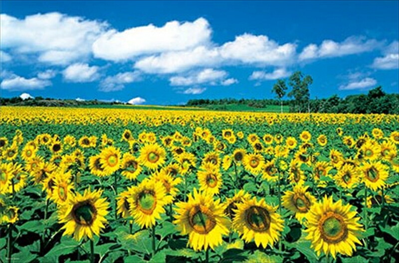 楽天市場】1000ピースジグソーパズル ラブプラス〈高嶺愛花〉 《廃番