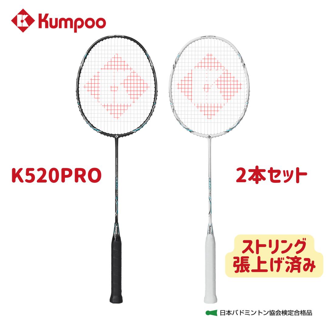 楽天市場】【専門店会限定商品】【張上済み】KAWASAKI カワサキ