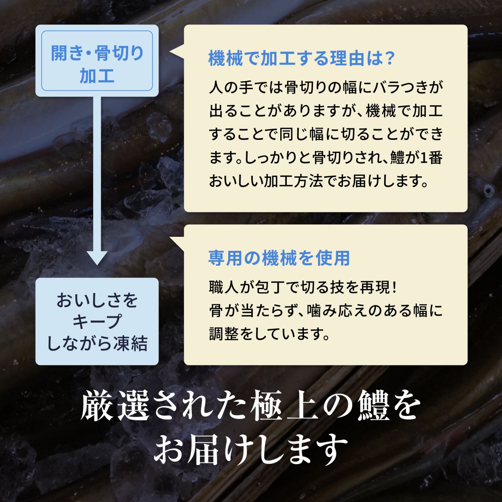 瀬戸内海産金の鱧湯引き 炙りセット300g 送料無料