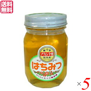 【4/10(金)限定！カードでポイント8倍！】はちみつ 蜂蜜 国産 五十川養蜂園 国産はちみつ アカシア 500g ５個セット 送料無料