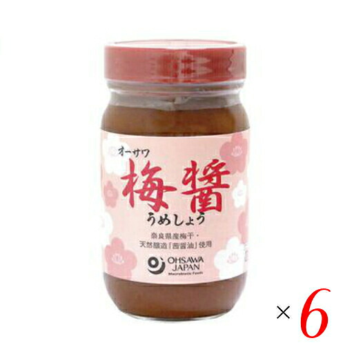 梅醤 練り梅 うめびしお オーサワ 梅醤（うめしょう） 250g ６個セット
