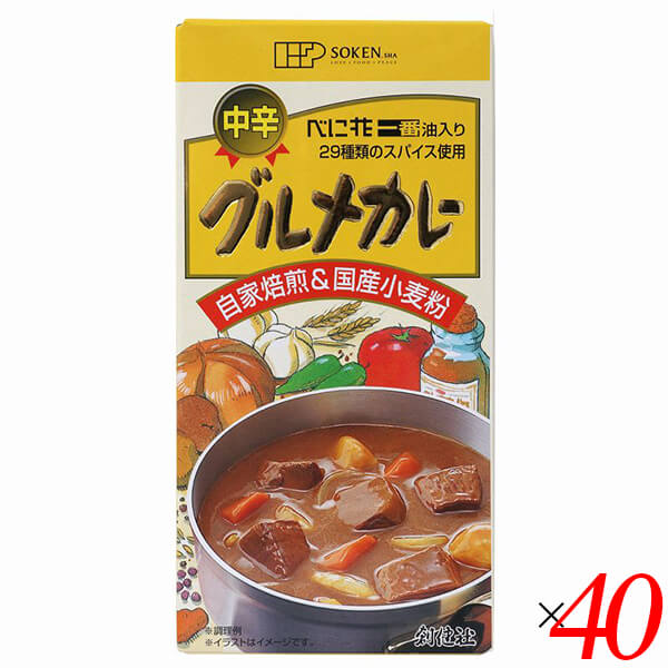 【100円クーポン！】学割6倍！カレー粉 カレールー カレールウ 創健社 グルメカレー（中辛） 115g 40個セット 送料無料｜kunistyle