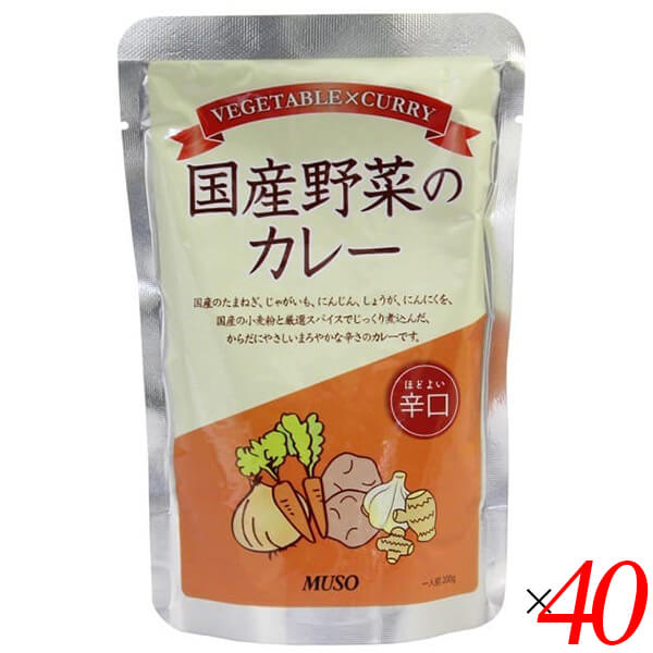 【100円クーポン!】学割6倍!カレー 国産 辛口 ムソー 国産野菜のカレー辛口 200g 40個セット 送料無料|kunistyle